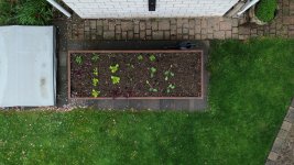 mini-3-DJI_0364.JPG
